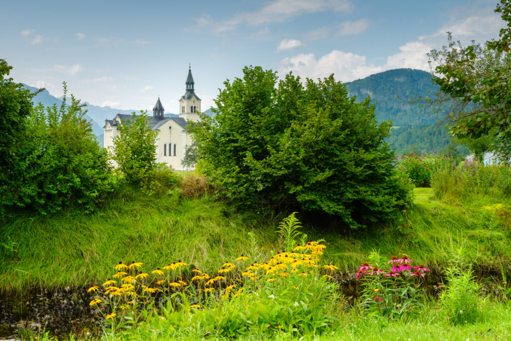 Ana Bohinj - Cerkev-rože