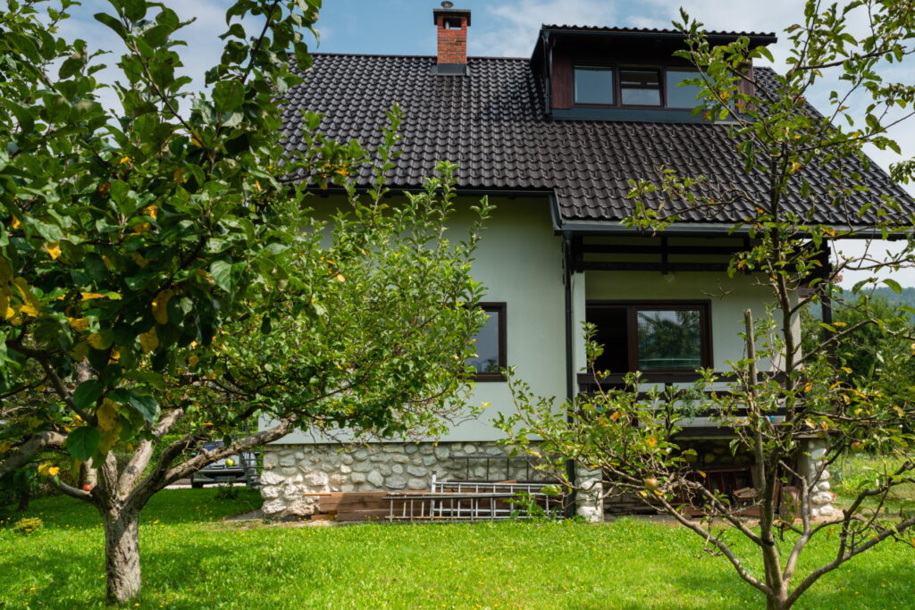 Mlakar Bohinj - Hisa jabolka