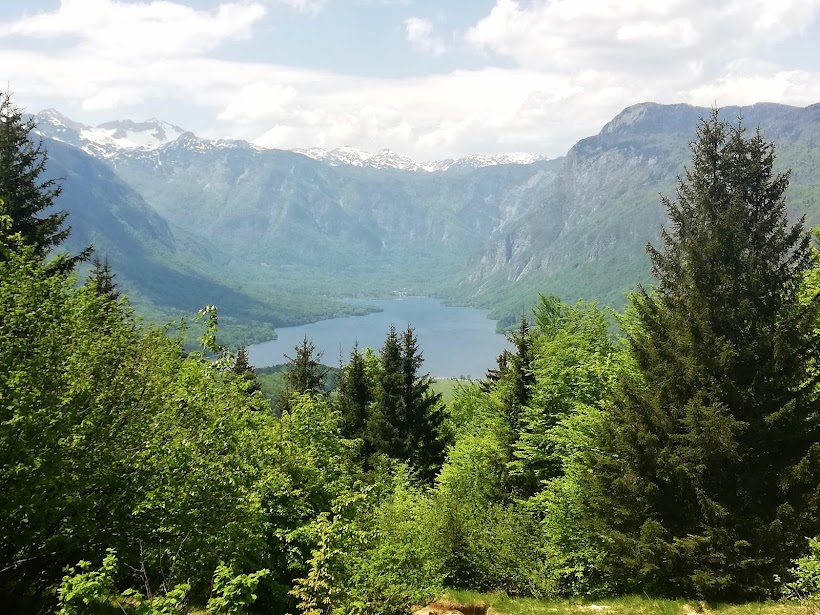 Ana Bohinj - IMG_20230521_131204