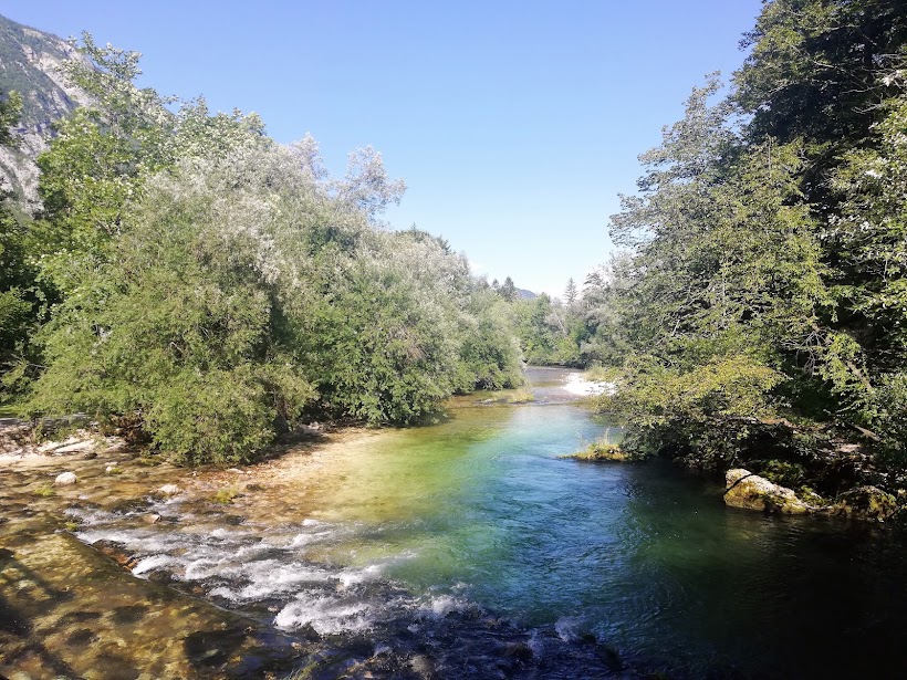 Ana Bohinj - IMG_20230729_161225